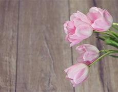 情侣网名可爱超萌两字，情侣之间要做的小事