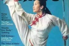 甄子丹为什么打不过李连杰，甄子丹比李连杰到底差在哪