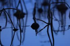 人生感悟的金句，最美好的人生感悟金句