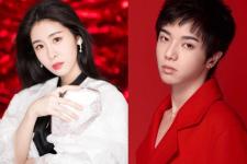 张碧晨怀孕过吗，张碧晨怀孕离开华晨宇