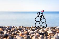 感情挽回经典词语，如何挽回感情