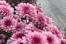 老公对我冷淡怎么办，升职后老公对我冷淡