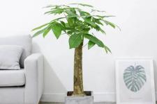 测试你将来靠什么发财，测试一下你靠什么路发财