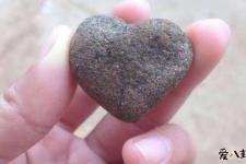 李晨石头事件（李晨石头门怎么回事）