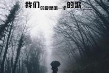 我一个人走（我一个人走在旷野）