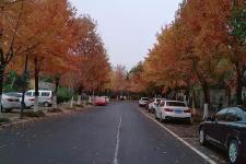 怀念啊我们的青春啊是什么歌（怀念啊我们的青春啊）