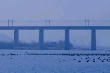 怎叹呐山有木兮木有枝是什么歌（怎叹那山有木兮那木有枝）