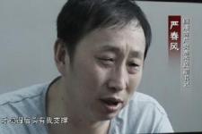 严书记女儿事件（严书记的女儿坑爹）