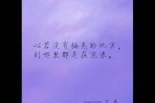 你的脚步流浪在天涯（流浪的人在天涯）