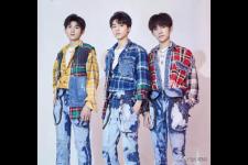 洪金宝妻子（洪金宝的两任妻子）