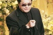 蓝洁瑛事件（为何刘嘉玲也难逃蓝洁瑛事件）