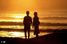 前夫后悔的小说（前夫后悔离婚了）