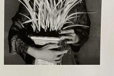 李晨 范冰冰 分手（范冰冰首次披露与李晨分手原因）