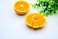 夫妻不和想离婚怎么办（夫妻性格不合应该怎么办）