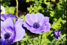 老婆非要离婚我该怎么办（老婆想要离婚怎么办）