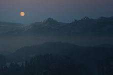 老公一次次的背叛我该怎么办（怎样才能走出老公的背叛）