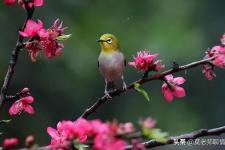 一个男人要离婚,该如何解决（丈夫为了第三者要离婚该怎么办）