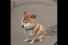 给女朋友道歉的语句（能把女朋友气晕的语句……）