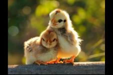 男朋友彻底失望了还能挽回吗（真就无法挽回了吗）