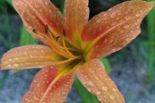 老公离家出走怎么对付（唤回了离家出走的儿子）