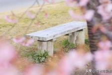 媳妇想离婚怎么挽回（我该怎么挽回婚姻）