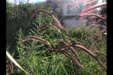 老公因为一点小事就冷战（老公跟我冷战了......）