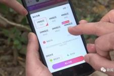 离婚电话号码（连电话号码都拿不到）