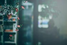 找离婚律师咨询热线（杭州离婚律师）