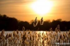 翻脸不认人的意思（翻脸不认人的星座）