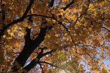 离婚起诉对方不同意就离不了婚吗（对方不同意离婚）