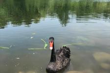 和老公吵架冷战后7绝招（对付老公冷战的绝招）