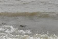 老婆执意离婚我该怎么做（老婆离婚怎么办）