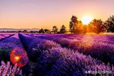 分手后还能挽回的10个征兆（分手后哪些表现还有机会复合）