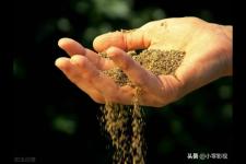 一段感情出现了裂痕（星座感情出现裂痕）