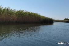 挽回前妻的技巧步骤（怎样挽回前妻）