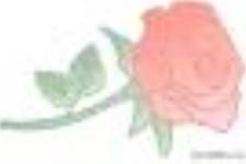 伤了他的心怎么挽回（应该要怎么挽回）