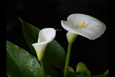 女人拖着不离婚的下场（我拖着不离婚）