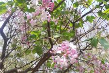 感觉自己心理有问题了怎么办（心理问题产生的原因有哪些）