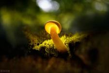 挽回婚外情女人基本步骤（女人陷入婚外情时）