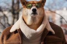 十二星座适合做什么职业（什么职业适合十二星座的你）