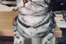 离婚后3岁的孩子判谁（3岁孩子的红包该归谁）