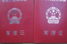 法律起诉离婚怎么离（服刑期间离婚怎么离）