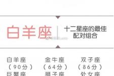 十二星座的最佳配对表（十二星座最佳配对组合）