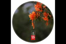 寡妇年是什么意思（还是其他什么意思）