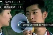 原谅歌词（原谅色歌词大合集）