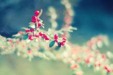 两个人闹离婚怎么解决（夫妻都是怎么离婚的）