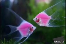 离婚容易吗（普通人离婚有那么容易吗）