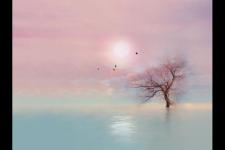 情感机构是怎么帮人挽回的（情感挽回的机构怎么退款）