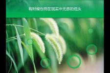 恋爱99天（九十九天证明爱情）