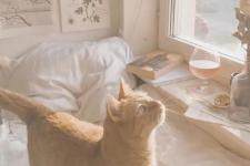 qq搞笑自动回复（有趣的QQ自动回复）